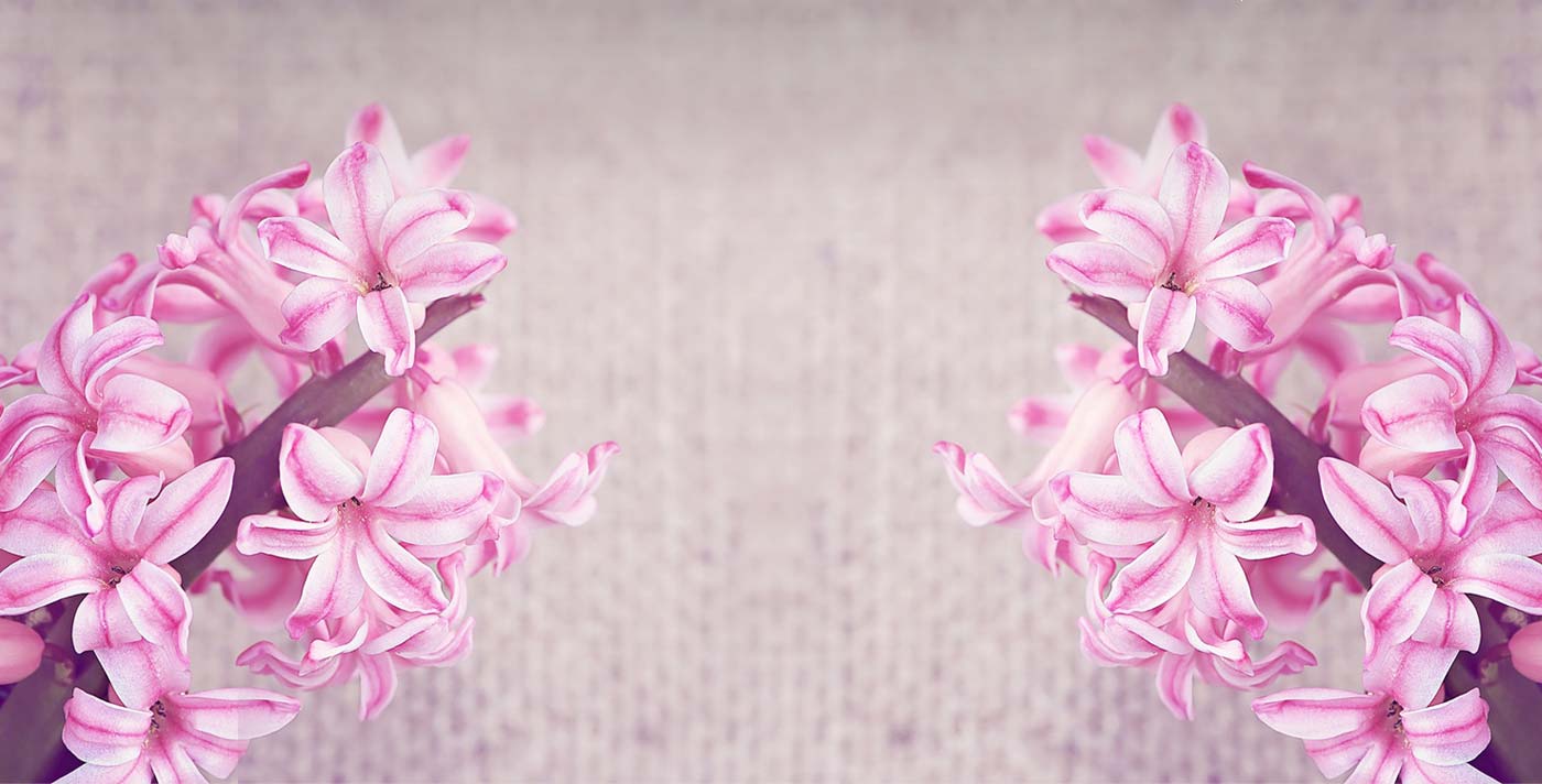 Diseño Floral Moreno